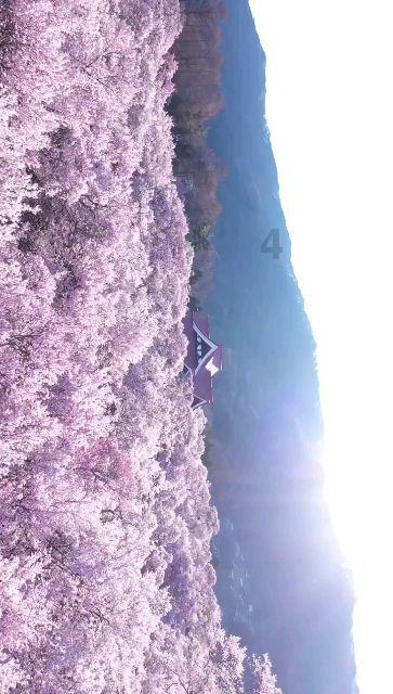 石家庄交通运输学校举行法治副校长聘任仪式暨法治专题讲座
